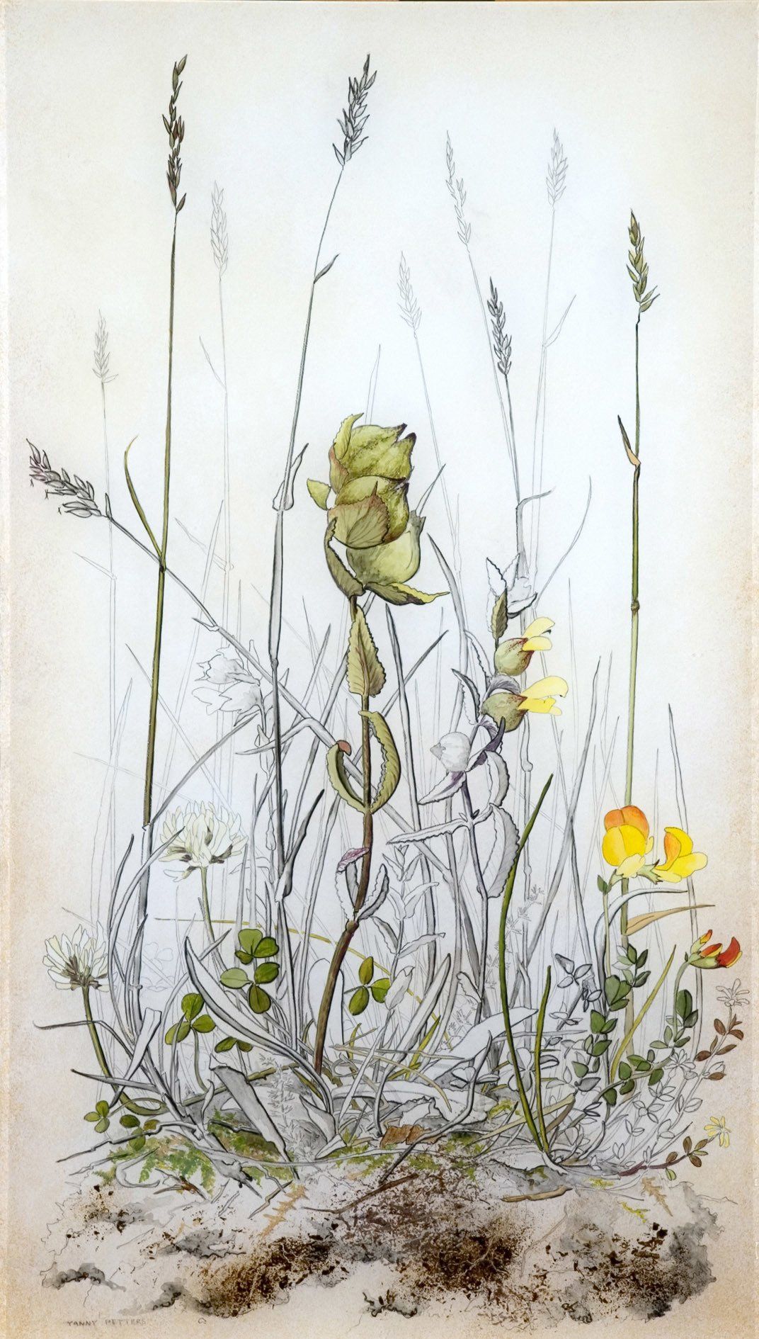 Yanny Petters' Yellow Rattle, White Clover & Bird’s-foot-trefoil, a beautiful verre églomisé painting (reverse painting on glass), part of the artist's 2008 solo show Fieldwork, organised by Olivier Cornet at the Riverside Gallery, Bridgewater Centre, Arklow (Co. Wicklow).