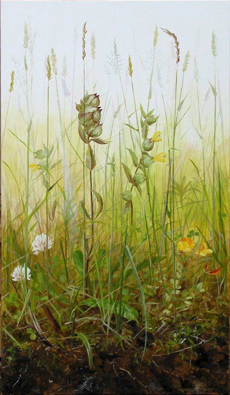 Yanny Petters' Yellow Rattle, a beautiful painting on board, part of the artist's 2008 solo show Fieldwork, organised by Olivier Cornet at the Riverside Gallery, Bridgewater Centre, Arklow (Co. Wicklow).