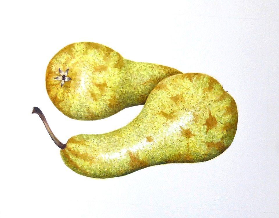 Painting of fat pears neatly, head by tail by Yanny Petters at Olivier Cornet Gallery