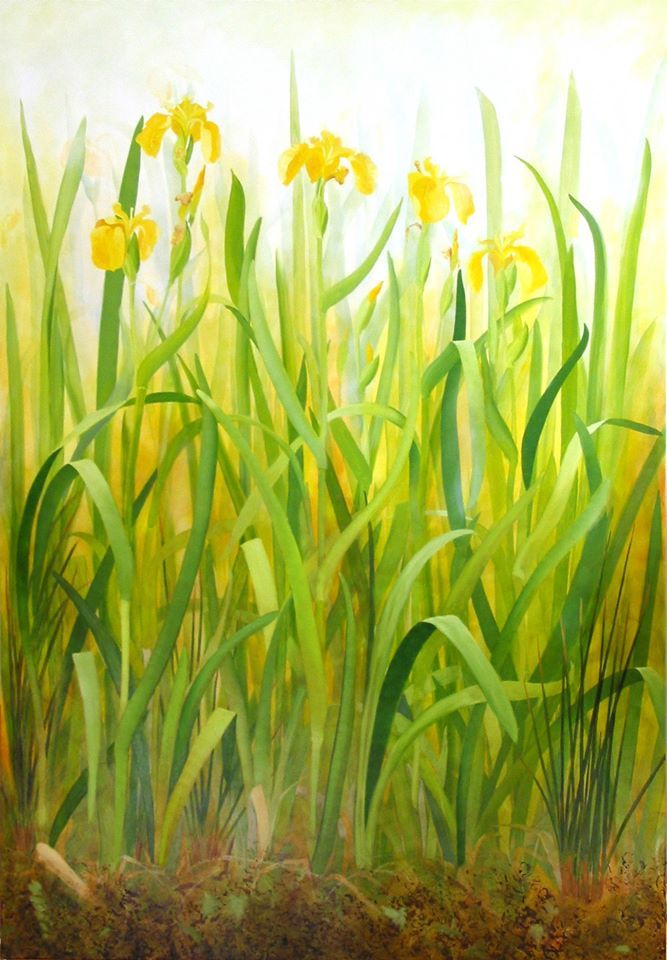 Yellow Flag stage 5 by Yanny Petters, Olivier Cornet Gallery artist