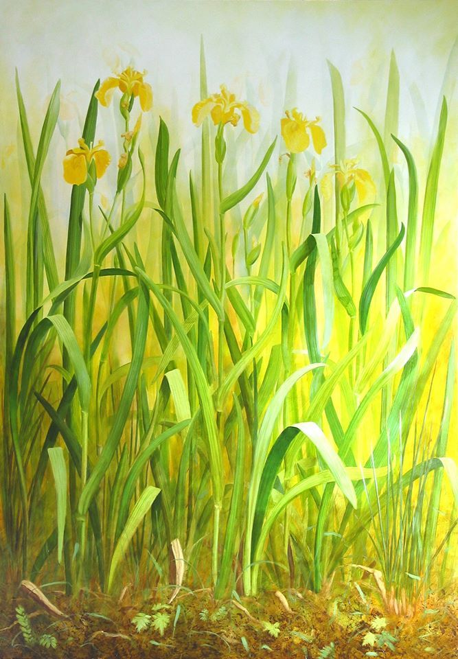 Yellow Flag stage 6 by Yanny Petters, Olivier Cornet Gallery artist
