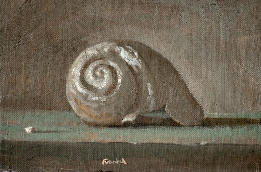 Conrad Frankel's painting Large Antique shell, part of the artist's May-June 2026 solo show at the Olivier Cornet Gallery, Dublin