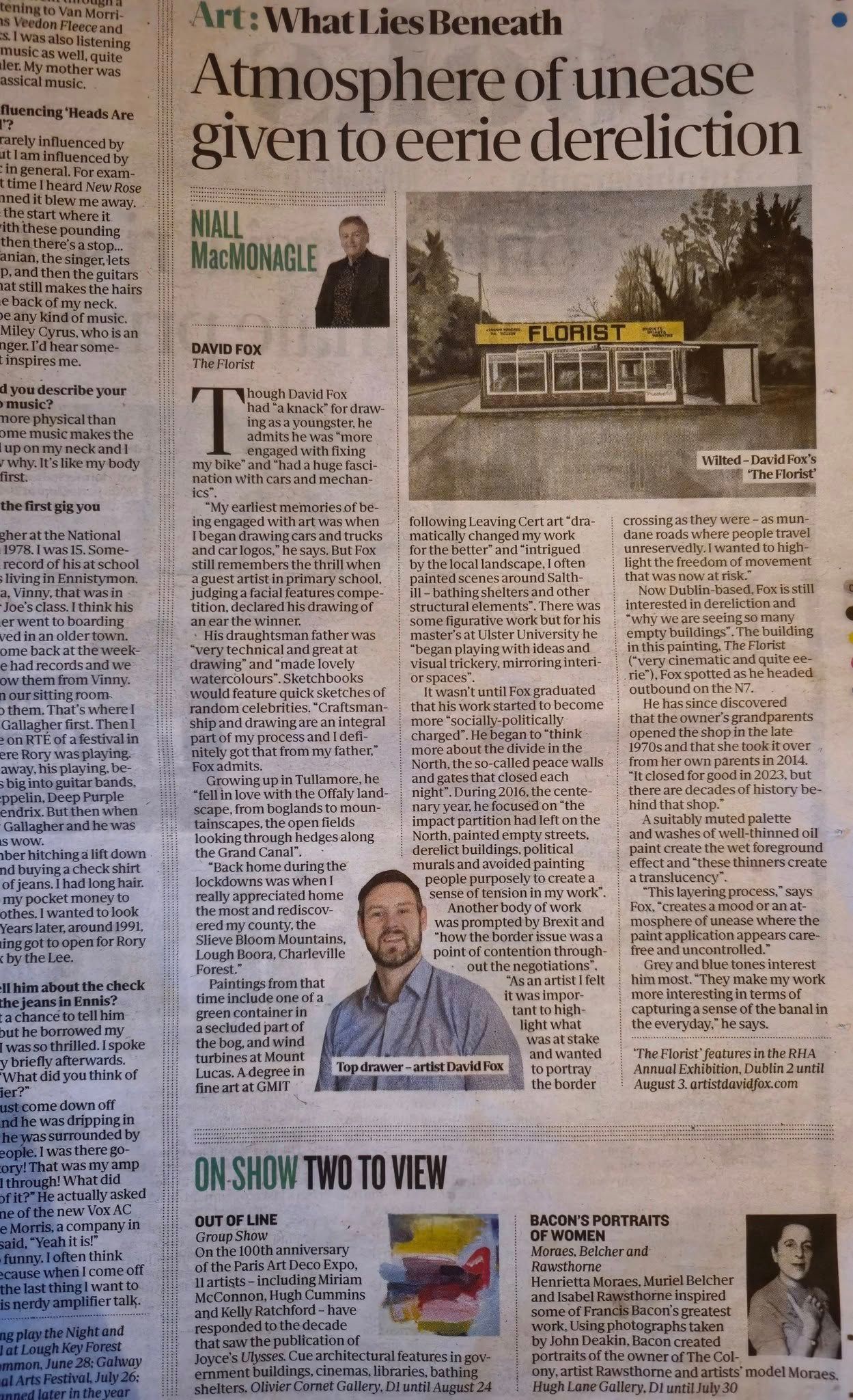 Niall MacMonagle's review of David Fox's practice, What Lies Beneath, The Irish Independent, July 2025