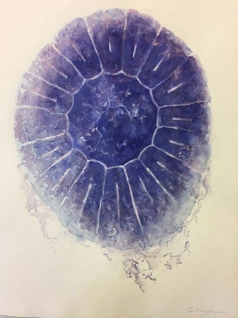 Eoin Mac Lochlainn, Blue Jelly Fish, watercolour on paper, part of the Olivier Cornet Gallery exhibition '2° C', a group show on climate change supported by the EPA Ireland