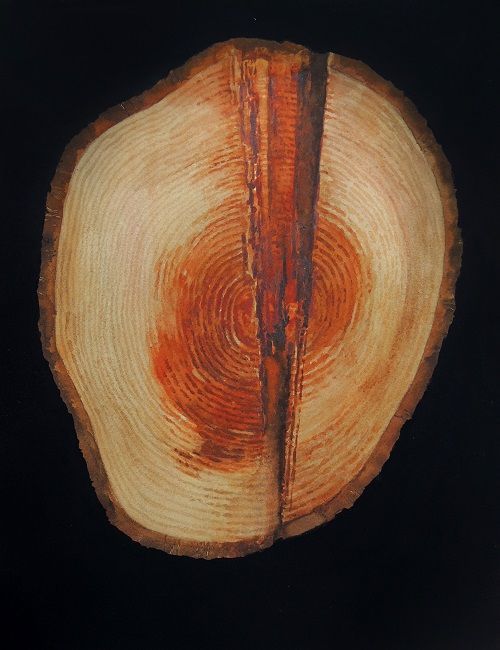 Eoin Mac Lochlainn, Crann 1, watercolour on Fabriano paper, 35x27cm, Olivier Cornet Gallery