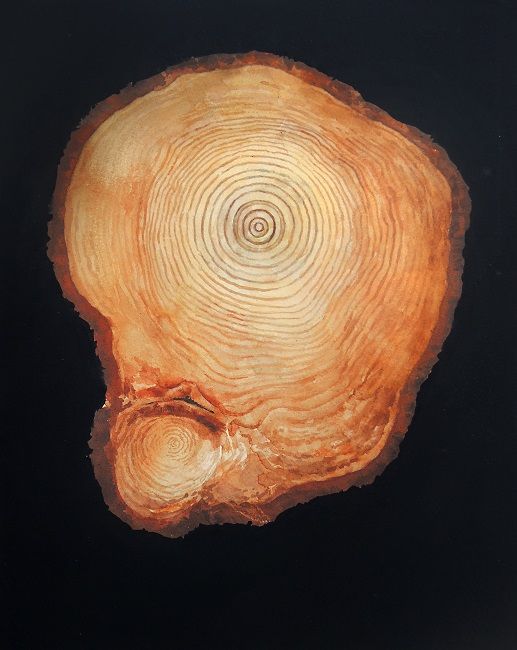 Eoin Mac Lochlainn, Crann 2, watercolour on Fabriano paper, 35x27cm, Olivier Cornet Gallery