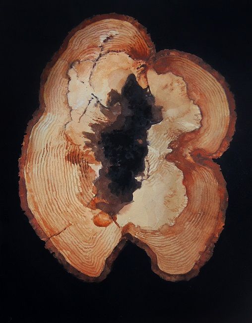 Eoin Mac Lochlainn, Crann 3, watercolour on Fabriano paper, 35x27cm, Olivier Cornet Gallery