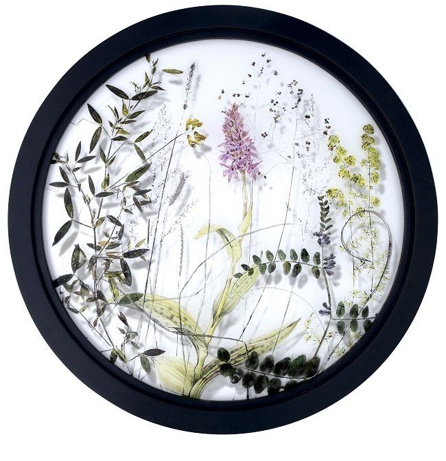 Yanny Petters, Field of Vision', Common Spotted Orchid, verre églomisé painting on convex glass, Olivier Cornet Gallery