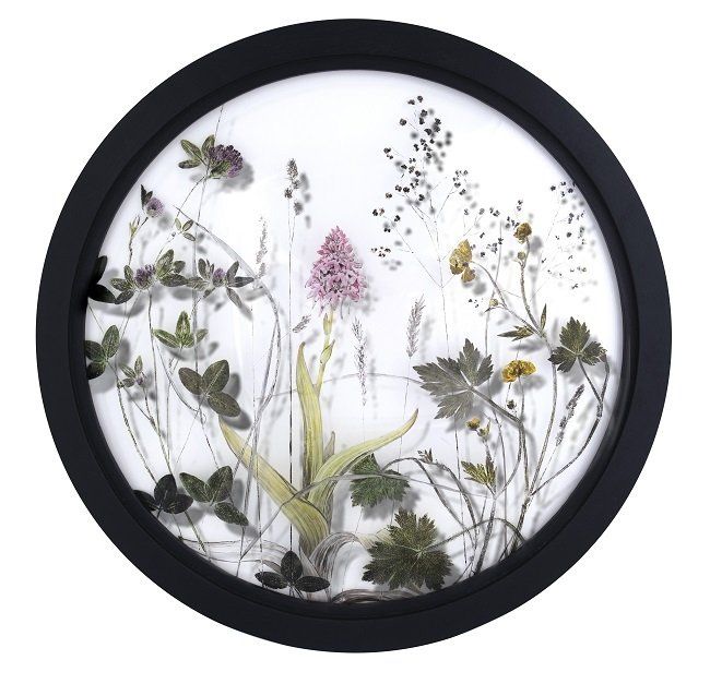 Field of Vision, Pyramidal Orchid, a beautiful painting on glass by Yanny Petters, available for purchase at the Olivier Cornet Art Gallery Dublin