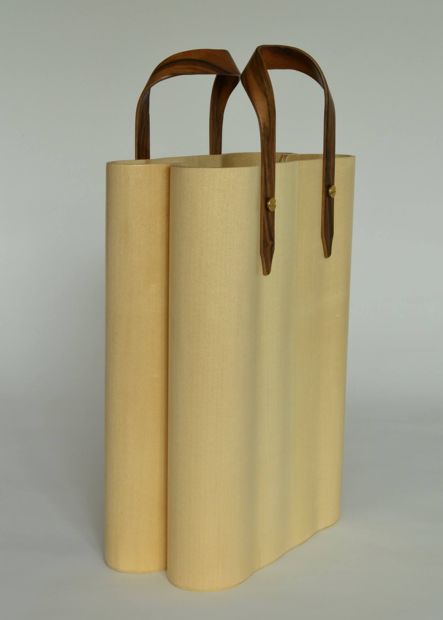 'Thinking beyond the bag’, a work in wood by Hugh Cummins, part of the Olivier Cornet Gallery exhibition '2° C', a group show on climate change supported by the EPA Ireland