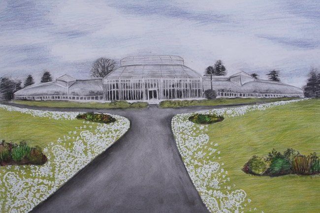 Lost Lace - Botanic Gardens, a drawing  by Miriam McConnon, Olivier Cornet Gallery, Dublin