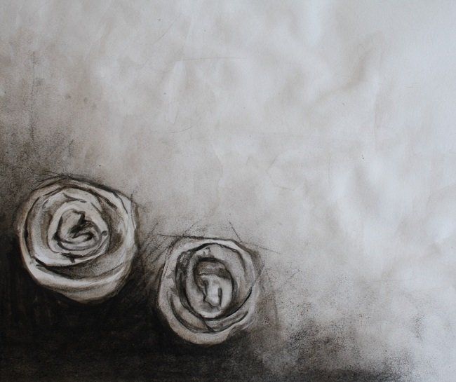 Two Individual Roses, a drawing  by Miriam McConnon, Olivier Cornet Gallery, Dublin