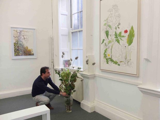 Gallerist Olivier Cornet putting the finishing touches to Yanny Petters’s show ‘HEDGEROW, Stories from a linear world’ before the arrival of the crowd on opening day Sunday 13 October 2019. The painting on the wall  (right, between the two windows) is titled 'The Plants we played with, now part of the collection of the National Gallery of Ireland, Dublin