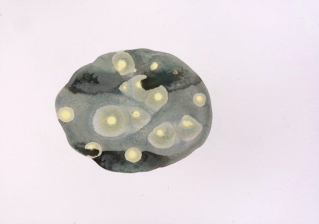 Sheila Naughton, Ingress I, watercolour & gouache on paper, Olivier Cornet Art Gallery