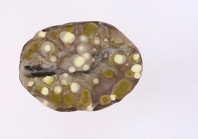 Sheila Naughton, Ingress III, watercolour & gouache on paper, Olivier Cornet Art Gallery