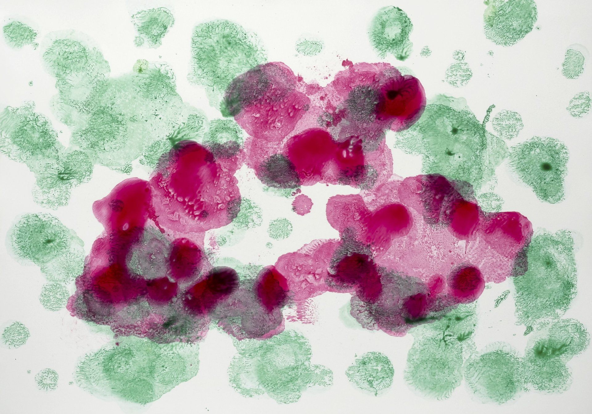Sheila Naughton, Under the Microscope V, acrylic on Yupo, Olivier Cornet Art Gallery