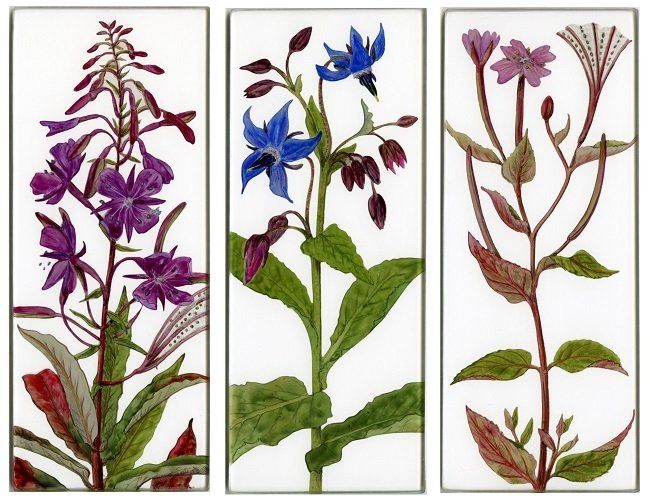 Yanny Petters, By the vegetable patch, Rosebay Willowherb, Borage, Broadleaved Willowherb, verre églomisé paintings, Olivier Cornet Gallery