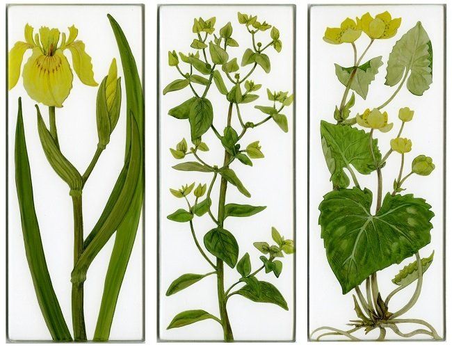 Yanny Petters, Down by the pond, Flag Iris, Irish Spurge, Marsh Marigold, verre églomisé paintings, Olivier Cornet Gallery