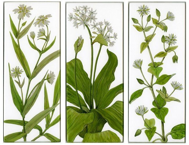 Yanny Petters, Early Spring down by the hedge, Stitchwort, Wild Garlic, Chickweed, verre églomisé paintings, Olivier Cornet Gallery