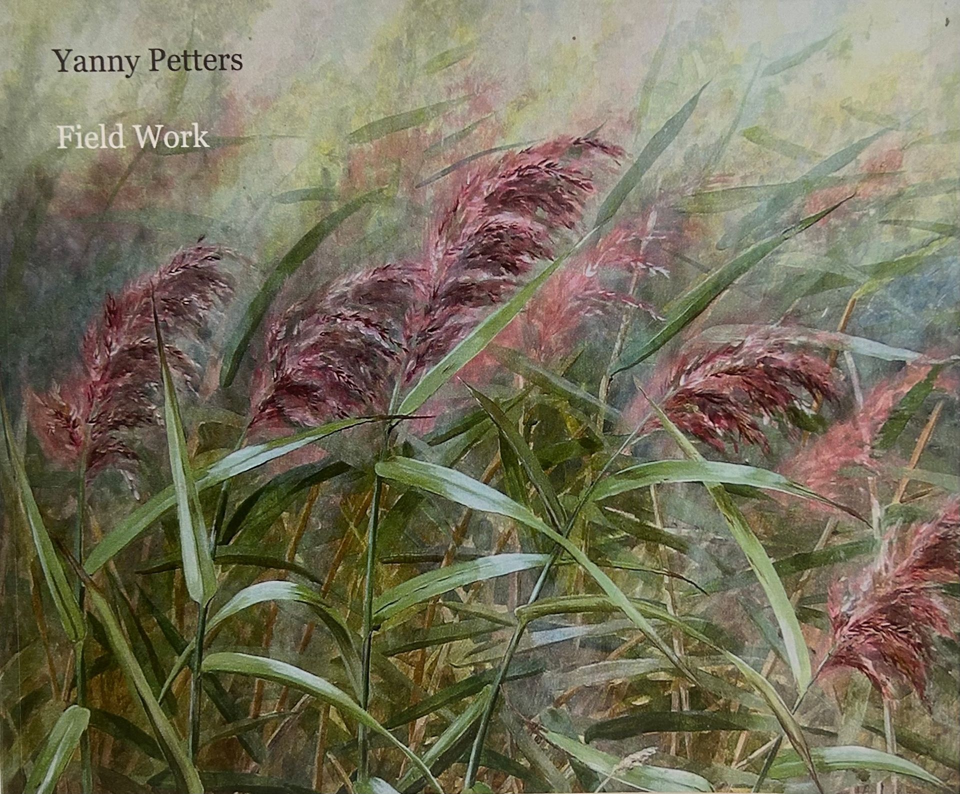 Catalogue cover of Yanny Petters' 2008 solo exhibition Fieldwork Catalogue cover of Yanny Petters' 2008 solo exhibition Fieldwork