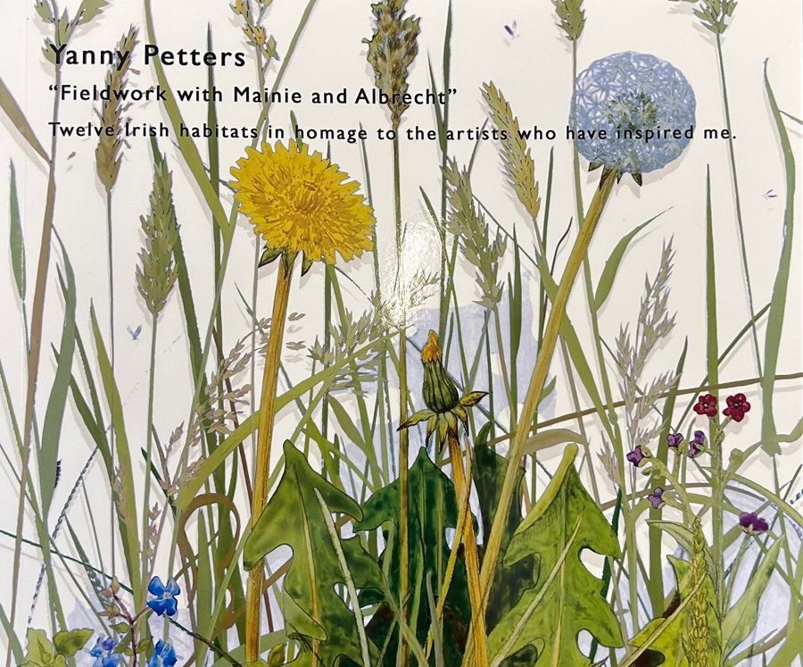 Cover of the catalogue of Yanny Petters's show 'Fieldwork with Mainie and Albrecht' showing a detail of the painting Meadow