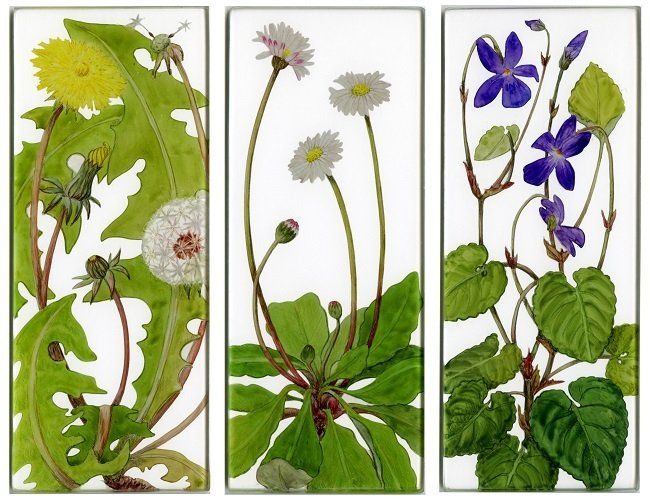 Yanny Petters, For the bees, Dandelion, Daisy, Dog Violet, verre églomisé paintings, Olivier Cornet Gallery