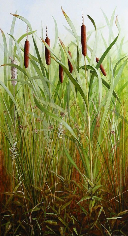 Yanny Petters' Great Reedmace, a beautiful painting on board, part of the artist's 2008 solo show Fieldwork, organised by Olivier Cornet at the Riverside Gallery, Bridgewater Centre, Arklow (Co. Wicklow).