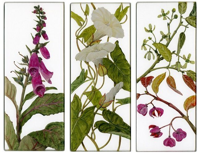 Yanny Petters, In the hedgerow, Foxglove, Bind Weed, Spindle, verre églomisé paintings, Olivier Cornet Gallery