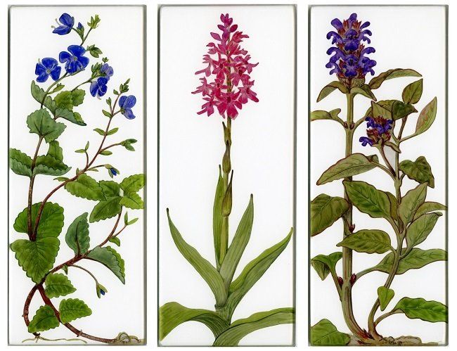 Yanny Petters, In the meadow, Germander Speedwell, Pyramidal Orchid, Self Heal, verre églomisé paintings, Olivier Cornet Gallery