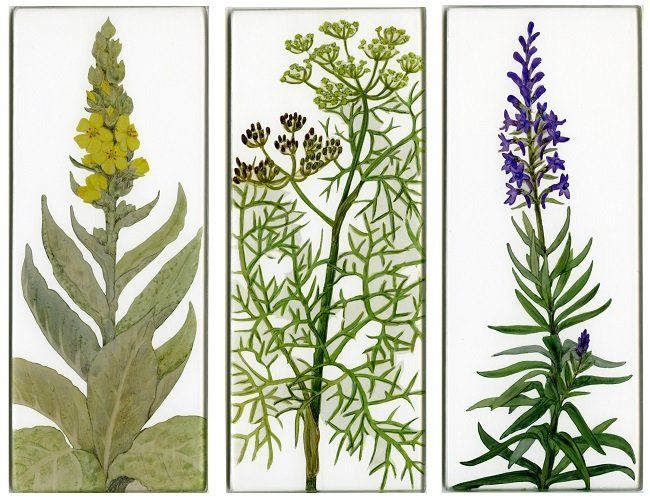 Yanny Petters, In the raised bed, Great Mullein, Fennel, Toadflax, verre églomisé paintings, Olivier Cornet Gallery