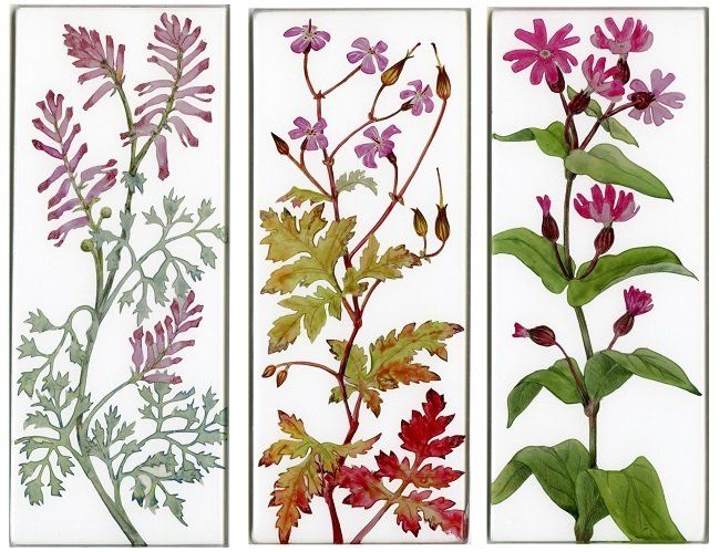Yanny Petters, In the vegetable patch, Fumitory, Herb Robert, Red Campion, verre églomisé paintings, Olivier Cornet Gallery