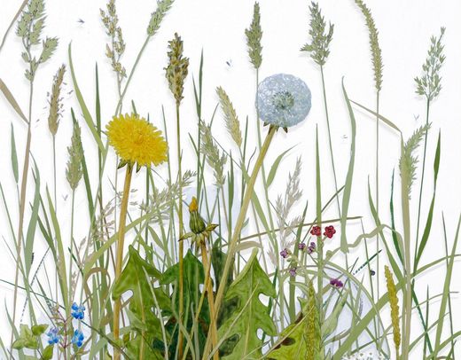 Meadow (detail), Verre Eglomisé, 44x32cm, part of Fieldwork with Mainie and Albrecht, a solo exhibition by Yanny Petters, 6 October - 10 November 2024, Olivier Cornet Gallery, Dublin.