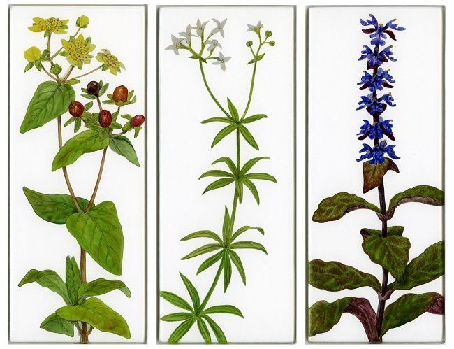 Yanny Petters, On stoney ground, Tutsan, Wood Ruff, Bugle, verre églomisé paintings, Olivier Cornet Gallery