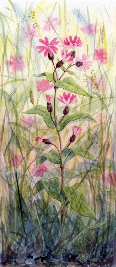 Yanny Petters, Red Campion, a painting part of the Olivier Cornet Gallery's group show Pink is my colour.