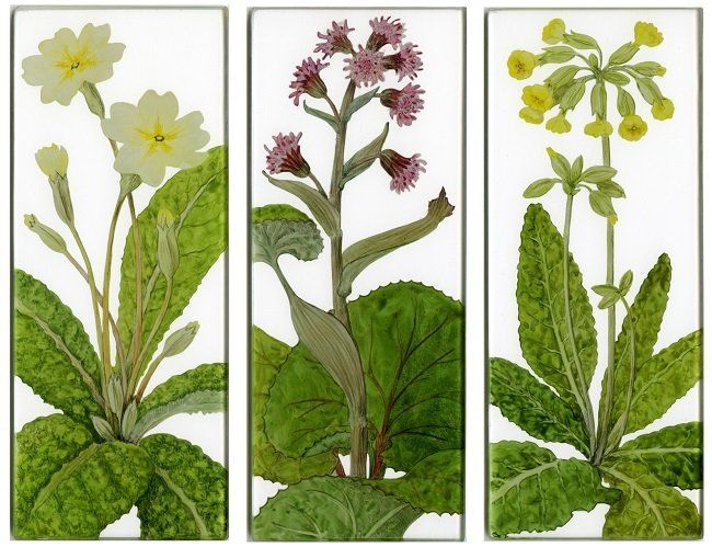 Yanny Petters, Sweet scent, Primrose, Winter Heliotrope, Cowslip, verre églomisé paintings, Olivier Cornet Gallery