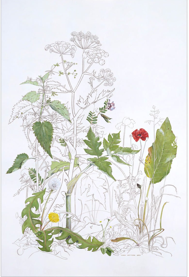 The Plants we played with by Olivier Cornet Gallery artist Yanny Petters, collection of the  National Gallery of Ireland