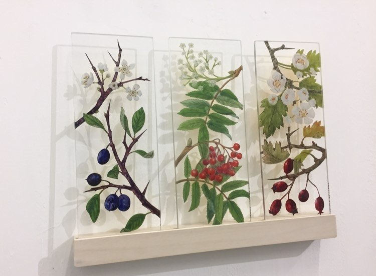 Yanny Petters, 'Three trees', Blackthorn, Rowan, Hawthorn, verre églomisé, 21cmx8.5cmx4mm (each), collection  of the Shirley Sherwood Gallery of Botanical Art, Kew, London (UK)