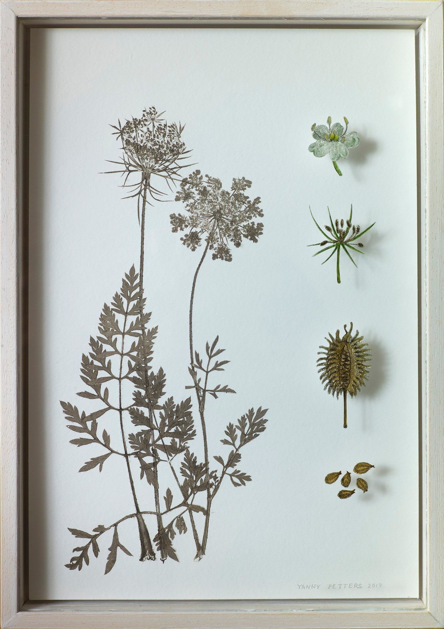 Yanny Petters, Wild Carrot, verre églomisé and nature print, part of the Olivier Cornet Gallery exhibition '2° C', a group show on climate change supported by the EPA Ireland