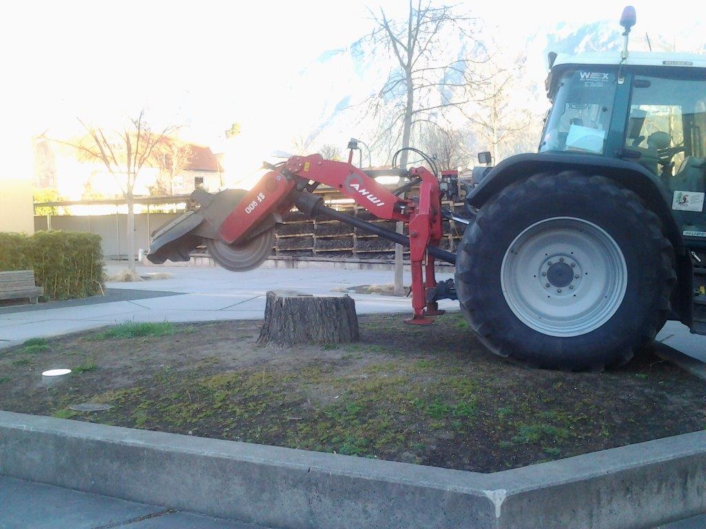 Wurzelstockfräsen -Wex Mathias Transporte aus Musau