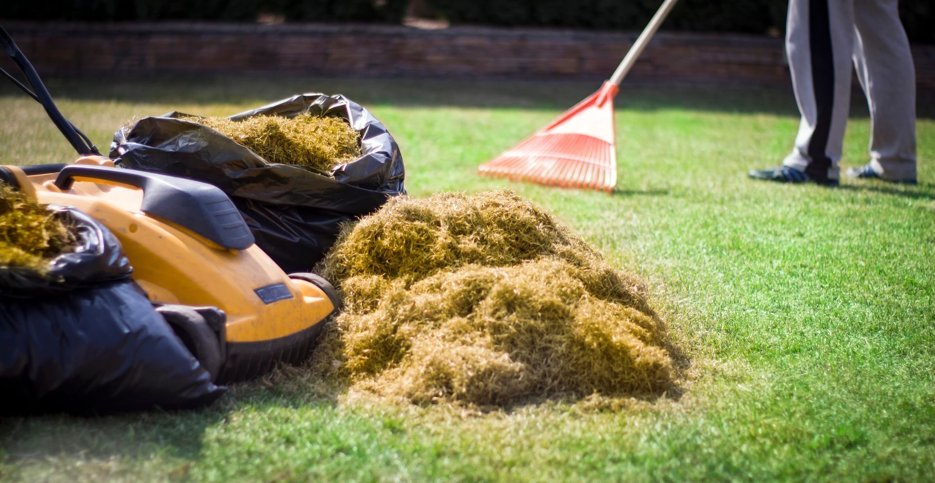 Garden tools and grass clippings piled on a lawn, with a person holding a rake nearby.