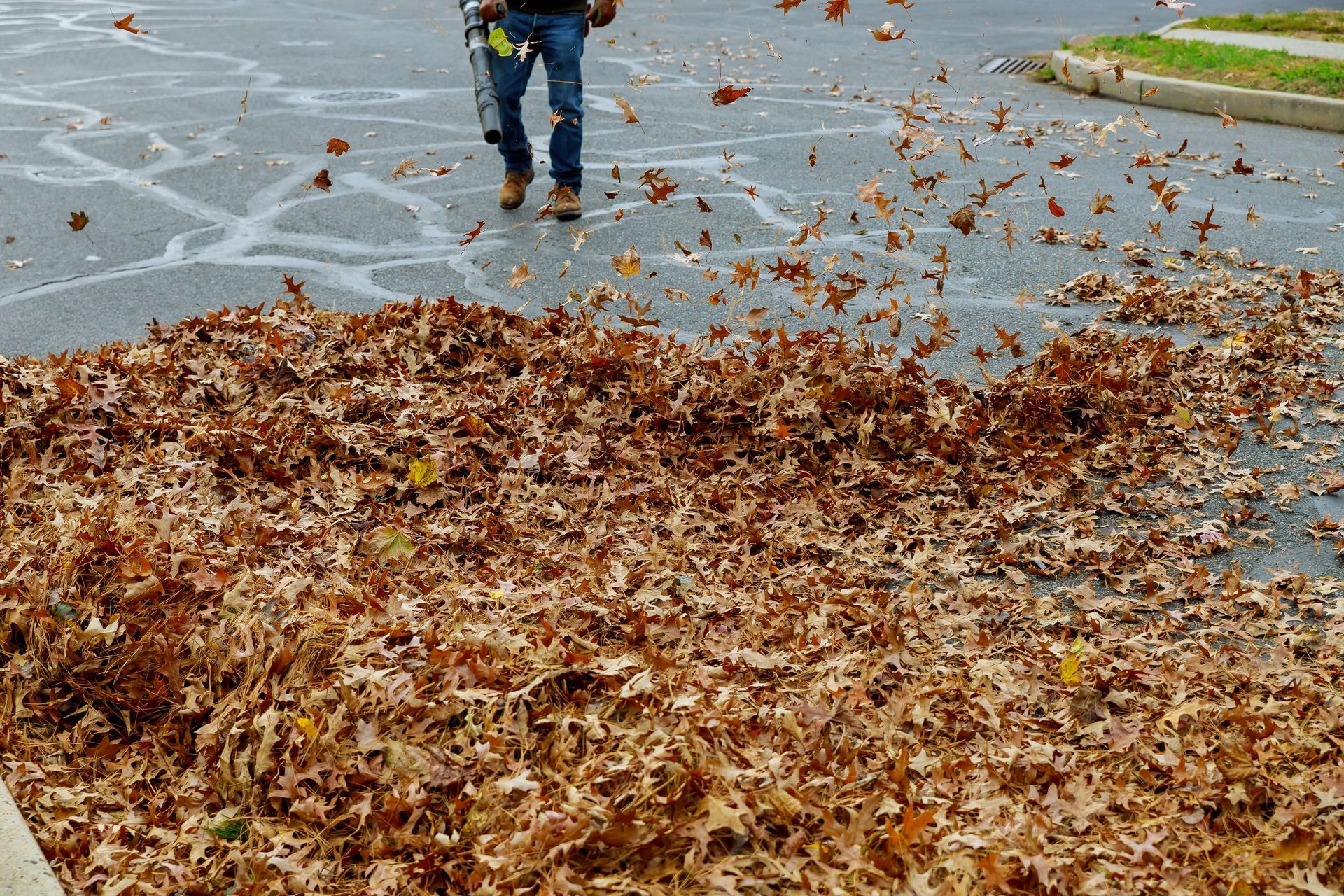 Person blowing leaves into a large brown pile on a wet sidewalk outdoors