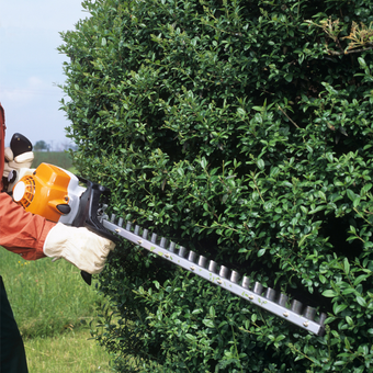 Landscaping maintenance