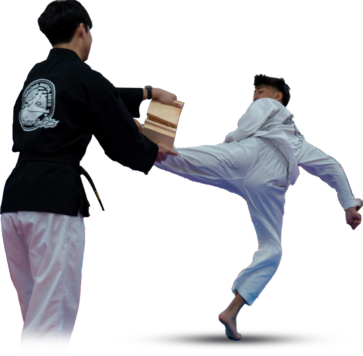 adult martial arts models