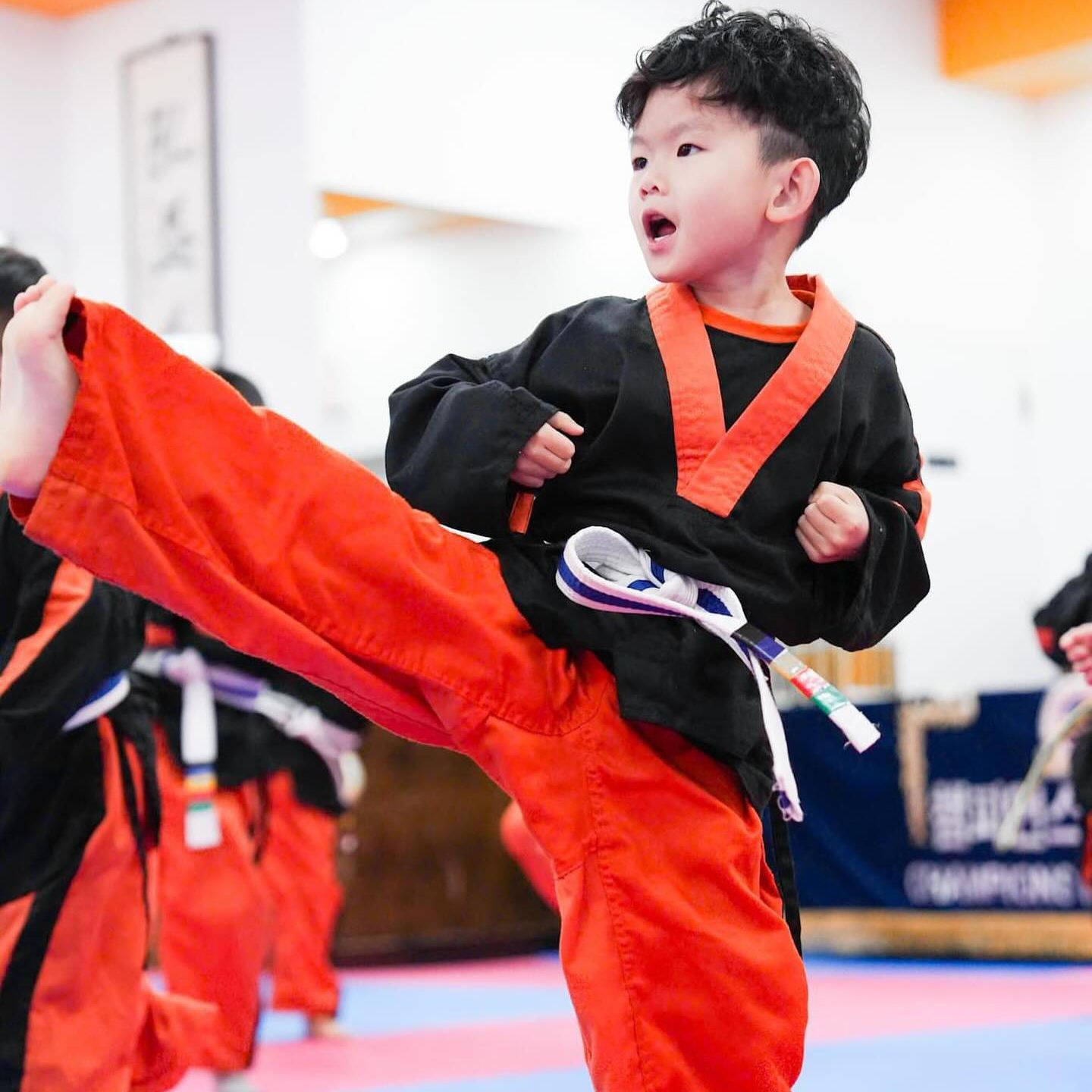 martial arts belt ranks