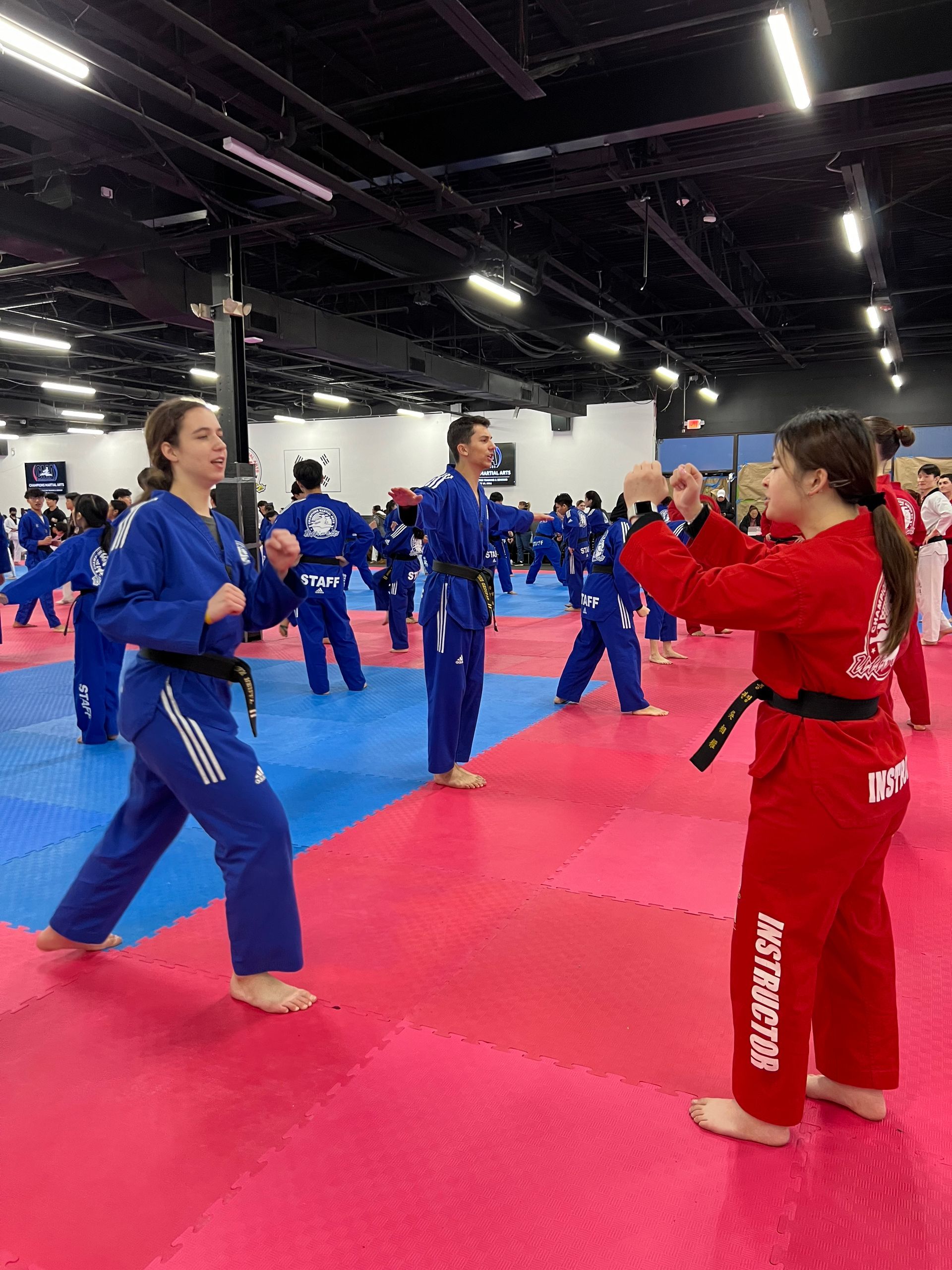 A group of people are practicing martial arts in a gym.