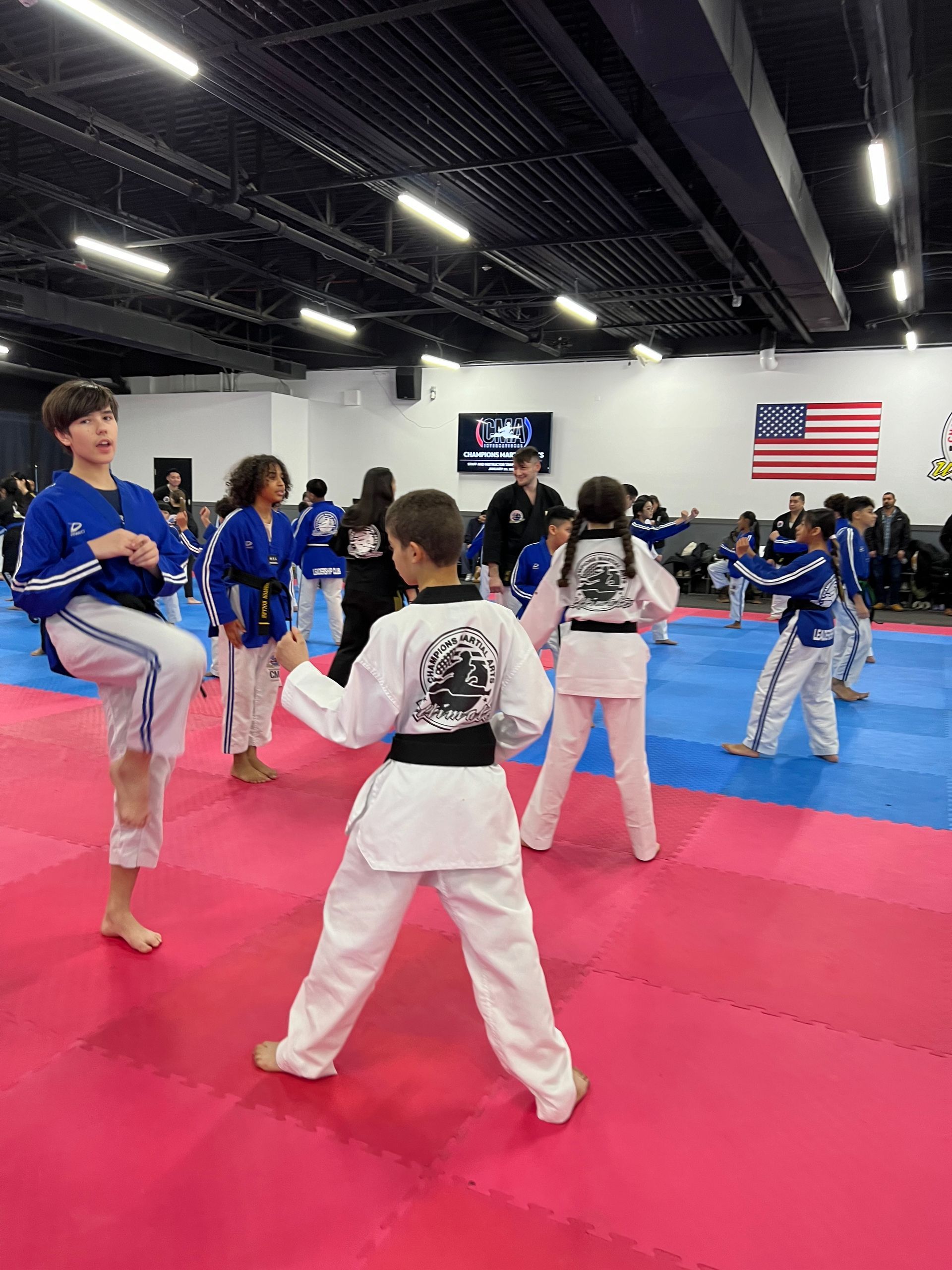A group of children are practicing martial arts in a gym.
