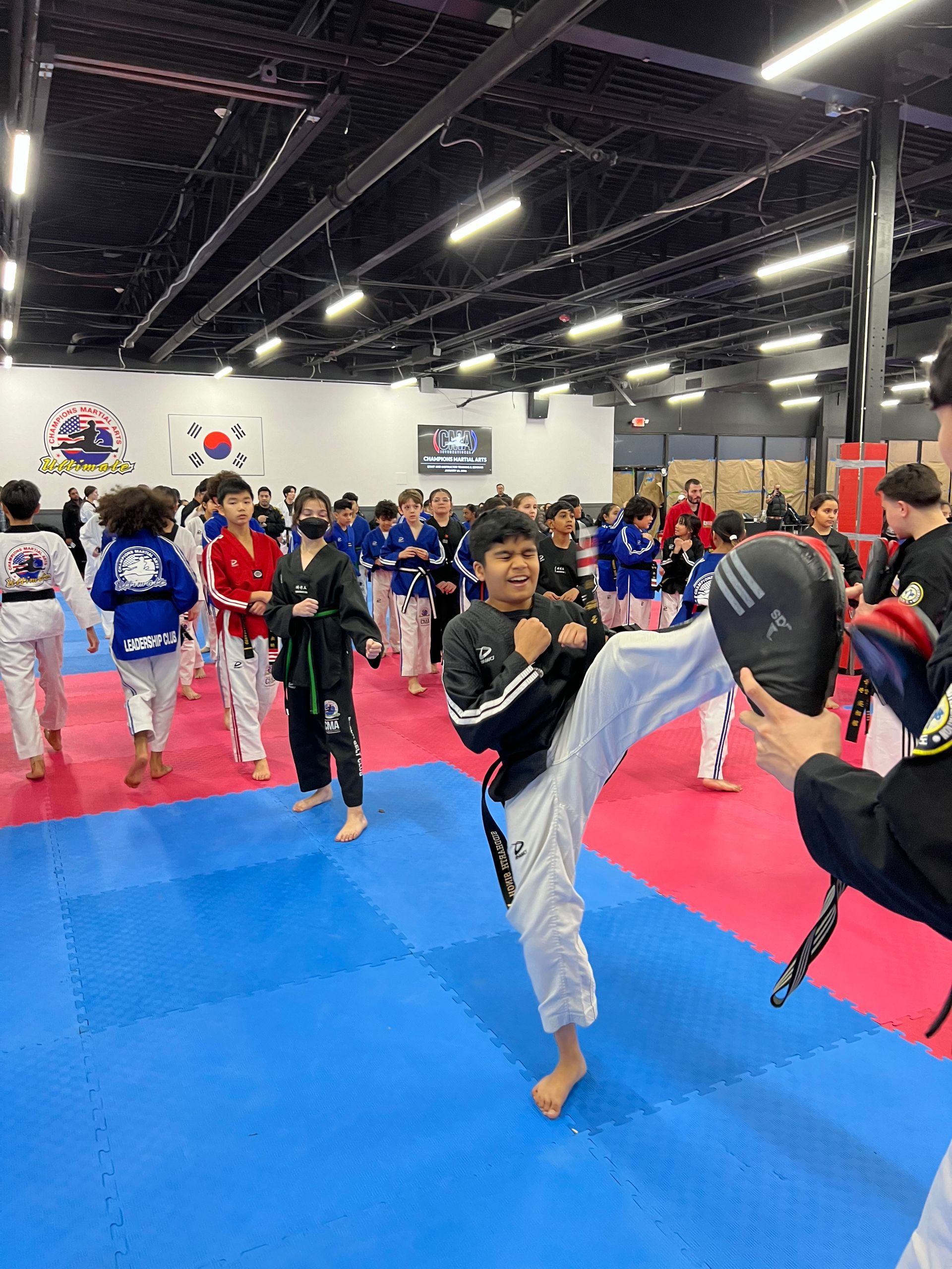 A group of people are practicing martial arts in a gym.