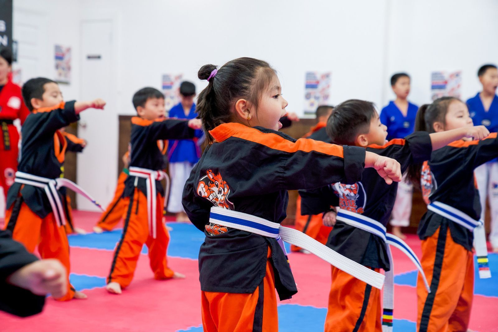 kids martial arts