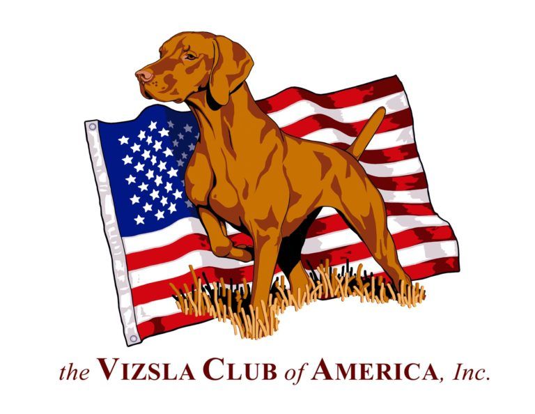 A vizsla club of america logo with a dog and an american flag
