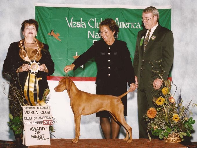 A dog is standing in front of a sign that says vizska club america